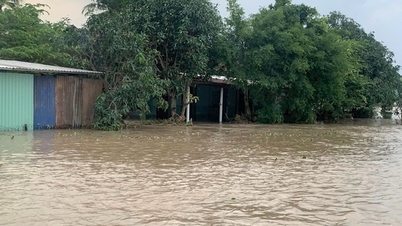 वियतनाम को बाढ़ के परिणामों से उबरने में मदद के लिए एडीबी ने 2 मिलियन अमेरिकी डॉलर का समर्थन दिया