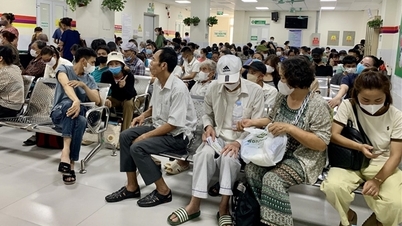 2026 से मुफ्त चिकित्सा जांच के लिए किन विषयों को प्राथमिकता दी जाएगी?