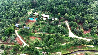 Decision to recognize 11 mountainous communes and wards in Dong Nai province