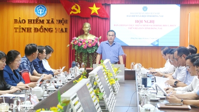 Deploying the 20-day peak campaign to develop social insurance and health insurance participants