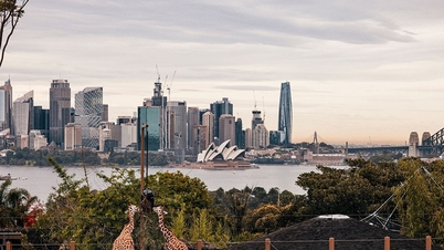 सिडनी: बंदरगाह से लेकर ब्लू माउंटेन तक के 7 अनुभव