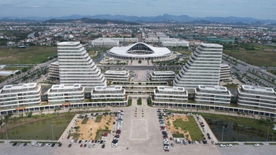 ہائی فونگ ڈیٹا کی بنیاد پر انتظامی طریقہ کار میں کمی کو فروغ دینے کی درخواست کرتا ہے۔