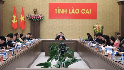 Lao Cai aktywnie przeprowadza wybory deputowanych do XVI Zgromadzenia Narodowego i Rad Ludowych na wszystkich szczeblach.