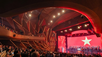 VinFuture評議会がGアワー前に100万ドルの賞金受賞者を発表