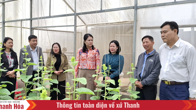 Latihan mengenai transformasi digital dan aplikasi aplikasi "Petani Vietnam"