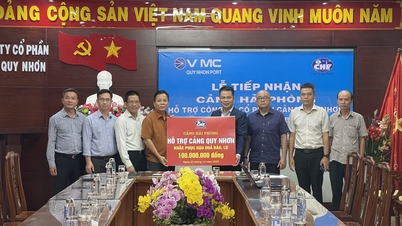 يدعم ميناء هاي فونغ ميناء كوي نون في التغلب على عواقب الكوارث الطبيعية وتعزيز التعاون الشامل