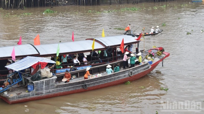 ドンタップ省はカイベー水上市場を観光客向けに保存する計画