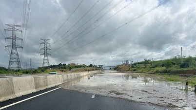 بزرگراه فان تیت-دائو گیای به دلیل سیل شدید، بخشی از آن را موقتاً مسدود کرد.