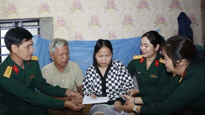 दा नांग सिटी मिलिट्री कमांड ने एजेंट ऑरेंज/डाइऑक्सिन के पीड़ितों और कठिन परिस्थितियों में रहने वाले अधिकारियों से मुलाकात की और उन्हें उपहार दिए।