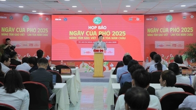 フォーの日：ベトナム米の味を世界に広める