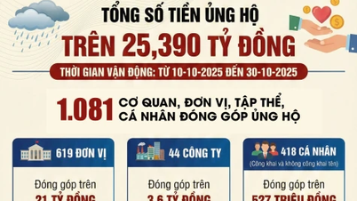 [Infografik] Über 25,390 Milliarden VND zur Unterstützung der von Sturm Nr. 9 und Sturm Nr. 10 Betroffenen
