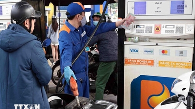 Prețurile petrolului continuă să scadă, în timp ce prețurile benzinei cresc, RON95-III având un nou preț de 20.460 VND