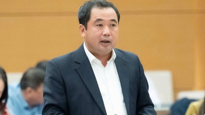 Samenvoeging van drie nationale doelprogramma's om middelen voor etnische minderheden te prioriteren