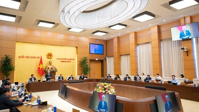 5 key points to be clarified in the group of draft laws and resolutions on Education