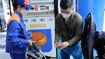 ราคาน้ำมันเบนซินเพิ่มขึ้นกว่า 500 ดอง/ลิตร ราคาน้ำมันดิบลดลงพร้อมกัน