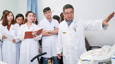 「研修医や専門医の学位は修士号や博士号ではない」