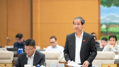 Milli Eğitim Bakanı: Pedagoji kolejleri pedagoji üniversiteleriyle birleşecek