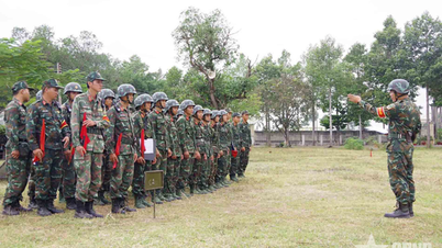 Divisão 5 (Região Militar 7): Teste de tiro real de exercícios de tiro de infantaria em 2025.