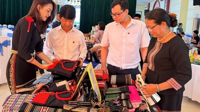 HTX Nhà may Thổ cẩm Ami Sia được tôn vinh HTX do phụ nữ quản lý tiêu biểu toàn quốc