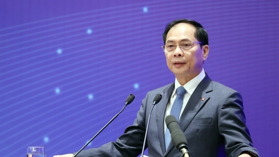 Utländska icke-statliga organisationer har försett Vietnam med mer än 1,1 miljarder USD i bistånd.