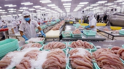 Prospects from VIFTA Agreement: Vietnamese enterprises face new opportunities