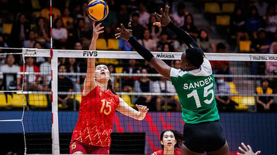 베트남 여자 배구팀, SEA 게임 33 직전 예상치 못하게 핵심 선수 탈락