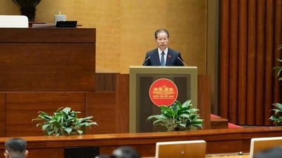 Criar um mecanismo para atrair investimento estrangeiro para o Centro Financeiro Internacional do Vietname.