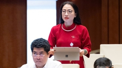 ບັນດາ​ຜູ້​ແທນ​ສະພາ​ແຫ່ງ​ຊາດ​ມີ​ຄວາມ​ເປັນ​ຫ່ວງ​ຕໍ່​ເລື່ອງ​ບໍ່​ເສຍ​ຄ່າ​ຮຽນ ​ແຕ່​ງົບປະມານ​ການ​ສຶກສາ​ຂອງ​ແຕ່ລະ​ຄອບຄົວ​ເພີ່ມ​ຂຶ້ນ.