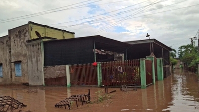 Лам Донг: понад 2000 будинків затоплено, майже 250 рибальських човнів пошкоджено...