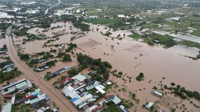 Hujan deras menyebabkan banjir besar, banyak daerah menderita kerugian puluhan miliar dong