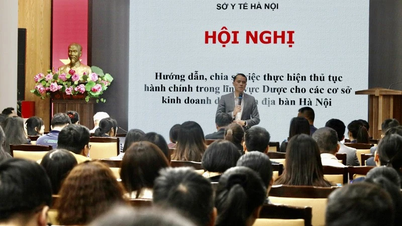 Reforma administrativa en el sector farmacéutico para atender mejor a los pacientes