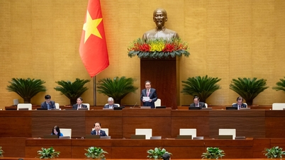 - الابتكار العميق في الإشراف على إصدار اللوائح التفصيلية