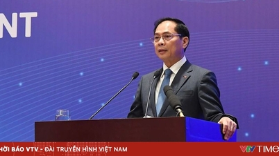 تثمن فيتنام التعاون مع المنظمات غير الحكومية الأجنبية.