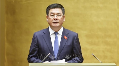 قومی توانائی کی ترقی میں خطرات سے بچنے کے لیے کنٹرول کے طریقہ کار پر غور کریں۔