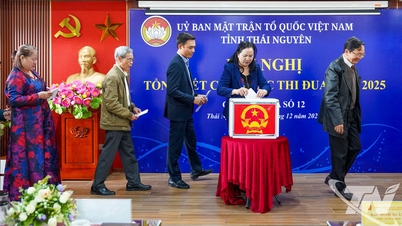 Innover dans le travail d'émulation, accroître la solidarité