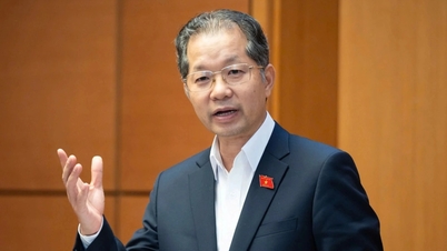 最高裁判所長官、専門裁判所に外国人裁判官が必要であると説明