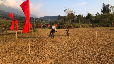 Фестиваль кінних перегонів незабаром відбудеться в Та Ленг