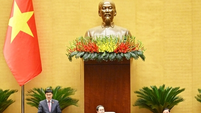 يجب دراسة الأحكام المتعلقة بتطبيق القانون الموضوعي بعناية.