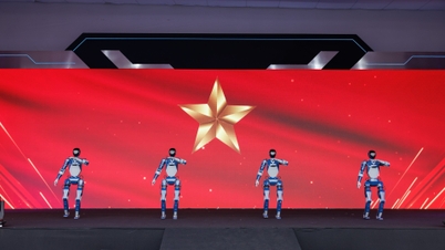 Robôs humanoides "fabricados no Vietnã" serão mais flexíveis e superiores no futuro.