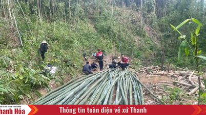 Bersemangat tentang harga streaming