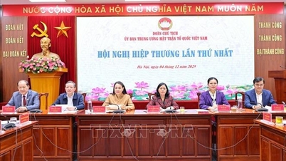 Багато ключових питань необхідно впровадити після першої консультативної конференції.