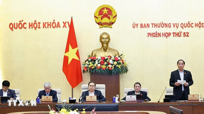 জাতীয় পরিষদের স্থায়ী কমিটি: সংবাদপত্রের উন্নয়নের জন্য নীতিমালা এবং সম্পদের পরিপূরককরণ