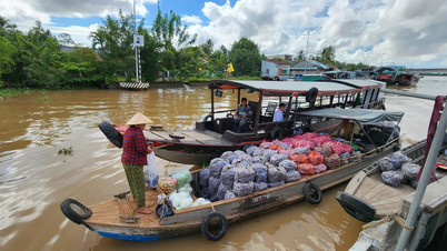 Dong Thap : Ouverture du marché flottant de Cai Be