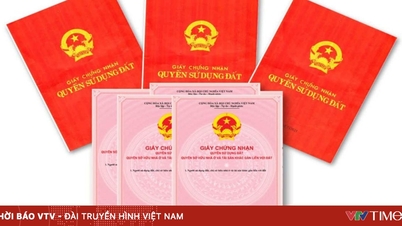 Procedimentos para a concessão do Certificado de Direito de Uso da Terra