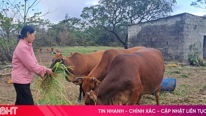 จุดศูนย์กลางเพื่อช่วยเหลือประชาชนในเขตวุงอังให้เข้าถึงสินเชื่อพิเศษ