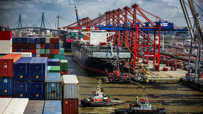 WTO, 세계 무역 완화 조치와 함께 신규 관세 급증을 보여주는 무역 모니터 보고서 발표