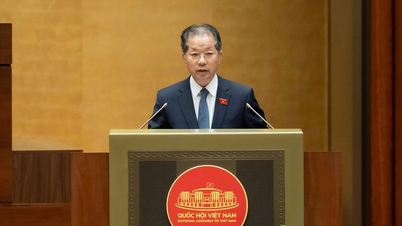 2 думки щодо повноважень призначати Голову спеціалізованих судів