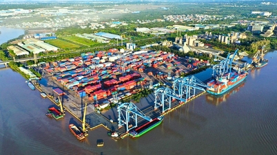 Digitalization and greening pave the way for national brands to break through