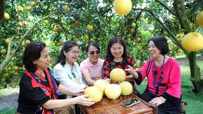 Tourism flourishes through Bac Ninh Fruit Festival