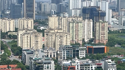 Цены на жилье слишком высоки, властям нужно дать людям ответы